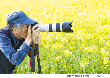 Image of senior, male, bright flower field enjoying camera Image of senior, male, bright flower field enjoying camera 40264692