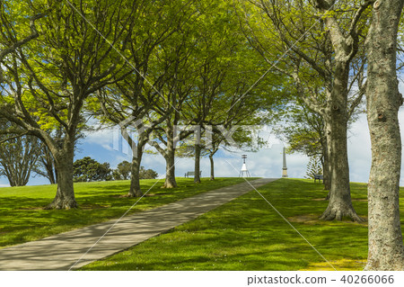 New Zealand Auckland Stocked Hill 40266066