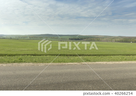 Beautiful Beautiful 40266254