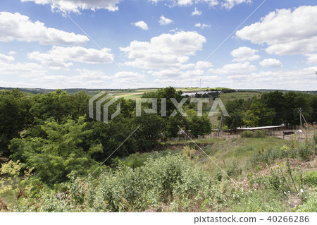 View to a farm building roof and horses. View to a farm building roof and horses. 40266286