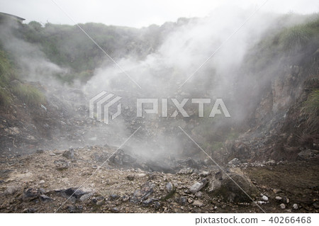 硫磺 硫磺 40266468