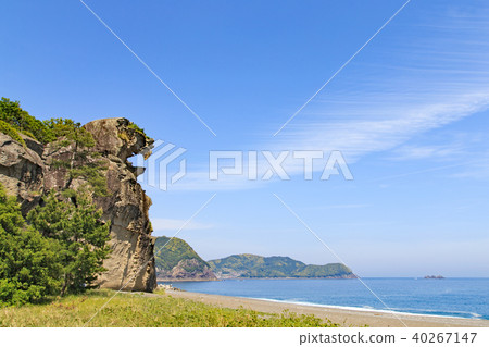 獅子岩石和藍天 40267147