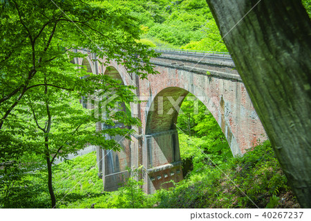 Glasses Bridge Atsushi Glasses Bridge Atsushi 40267237