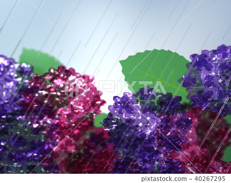 CG illustration rainy season hydrangea rain CG illustration rainy season hydrangea rain 40267295