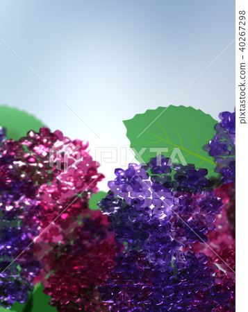CG illustration, rainy season, hydrangea 40267298