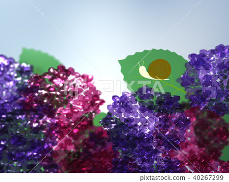 CG illustration, rainy season, hydrangea, snail CG illustration, rainy season, hydrangea, snail 40267299