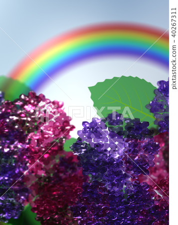 CG illustration rainy season hydrangea rainbow CG illustration rainy season hydrangea rainbow 40267311