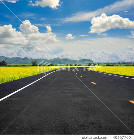 Road heading straight to the mountain and flowers 40267760