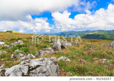 Genji Getauma-Karst露台，老房子誤認為無數白色石灰石為白馬 - 四國喀斯特 40268947