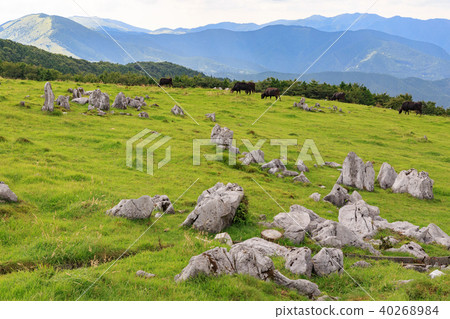 Hime Tsuruhei-Shikoku Karst Prefectural Nature Park-Japan's Three Largest Karst 40268984