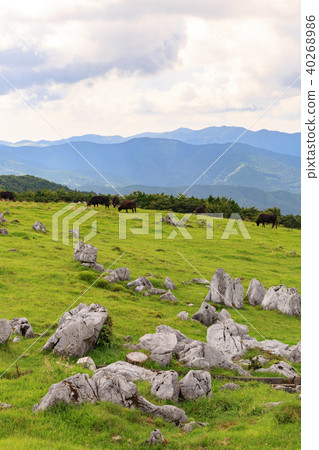 Hime Tsuruhei-Shikoku Karst Prefectural Nature Park-Japan's Three Largest Karst 40268986