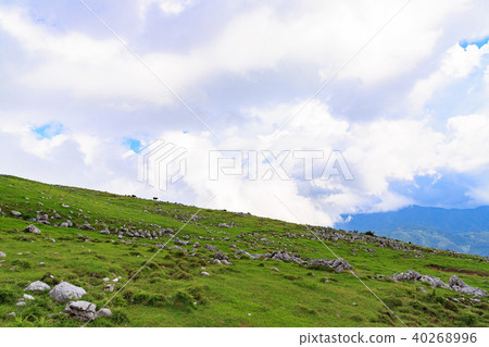 Five Dan Plateau-Shikoku Karst Prefectural Natural Park-Japan's Three Largest Karst 40268996