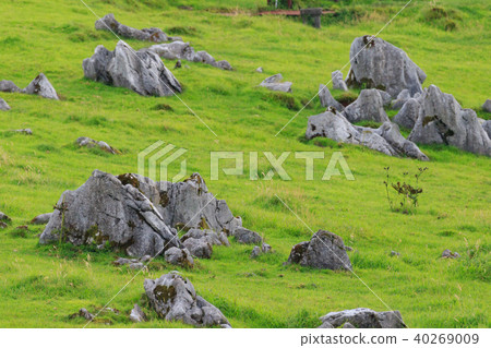 Hime Tsuruhei-Shikoku Karst Prefectural Nature Park-Japan's Three Largest Karst 40269009