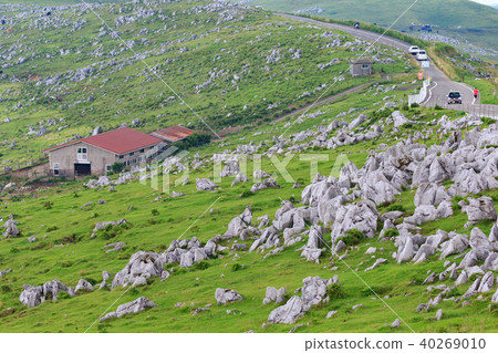 Five Dan Plateau-Shikoku Karst Prefectural Natural Park-Japan's Three Largest Karst 40269010