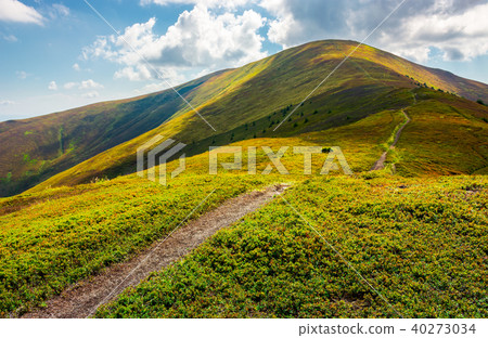 path to the top of the mountain path to the top of the mountain 40273034