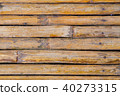 bamboo background 40273315