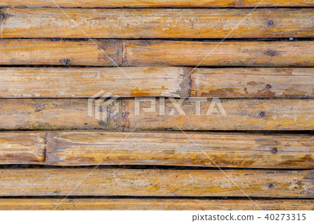 bamboo background 40273315