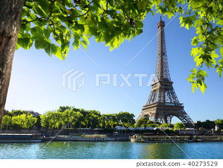 Morning in Paris Morning in Paris 40273529