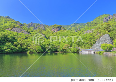 Sasaya pond and fresh green Sakai Sasaya pond and fresh green Sakai 40273665