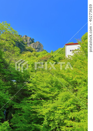 Fresh green cold blue mountain ropeway 40273689