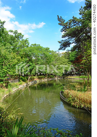 Shimizu, Suginami-ku, Tokyo 40274480