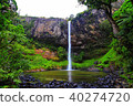 Bridal Veil Falls Waterfall in New Zealand 40274720