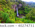 Bridal Veil Falls Waterfall in New Zealand 40274731