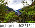 Franz Joseph Glacier - New Zealand 40274744