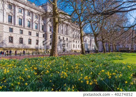 St James's Park flowers 40274852