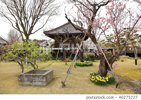 Chichidokan (Chibien) Courtyard 40275227