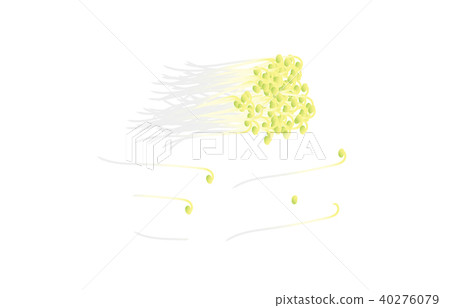 切蔬菜豆芽 40276079