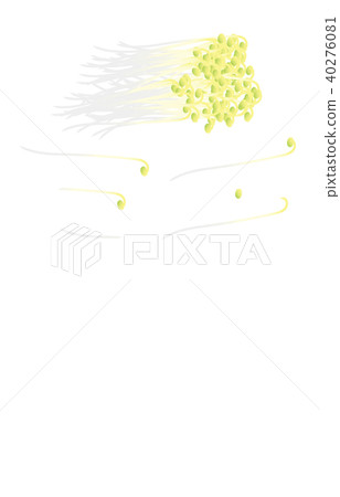 切蔬菜豆芽 切蔬菜豆芽 40276081