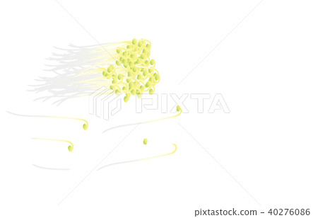 切蔬菜豆芽 40276086