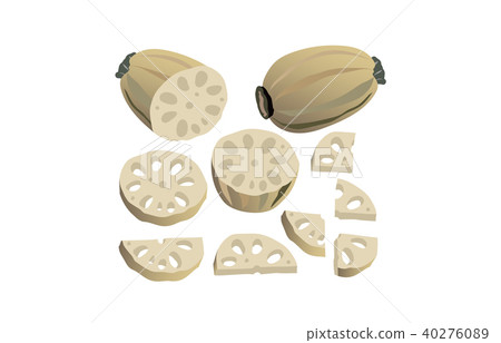 切蔬菜扁豆 切蔬菜扁豆 40276089