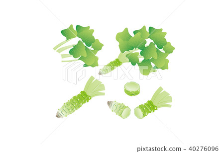 切蔬菜芥末 切蔬菜芥末 40276096