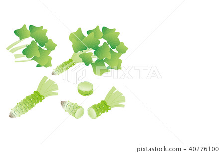 切蔬菜芥末 40276100