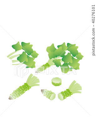 切蔬菜芥末 40276101