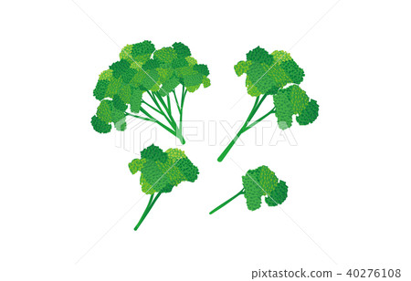 切蔬菜歐芹 40276108