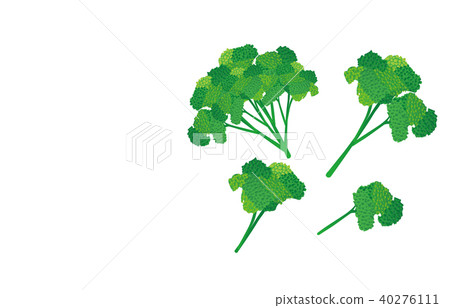 Cut vegetables parsley 40276111