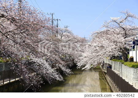 Scenery of Toda City, Saitama Prefecture Scenery of Toda City, Saitama Prefecture 40280542