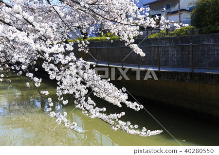 Scenery of Toda City, Saitama Prefecture 40280550