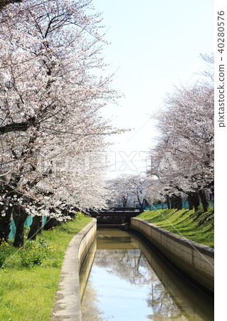 Scenery of Toda City, Saitama Prefecture Scenery of Toda City, Saitama Prefecture 40280576