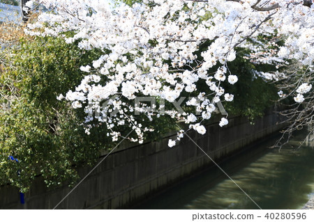 Scenery of Toda City, Saitama Prefecture Scenery of Toda City, Saitama Prefecture 40280596