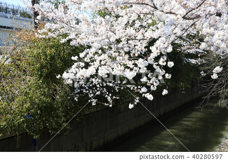 Scenery of Toda City, Saitama Prefecture Scenery of Toda City, Saitama Prefecture 40280597