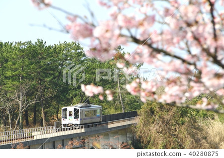 Spring Tosa Kuroshio Railway 40280875