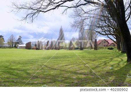 Nature and flowers in the city park under spring 40280902