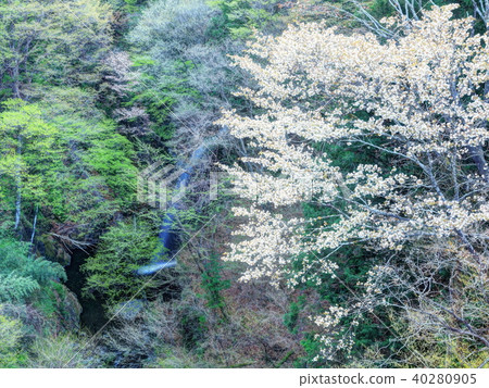 Karido immobile waterfall Karido immobile waterfall 40280905