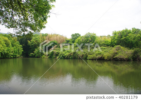 圍繞山路 40281179