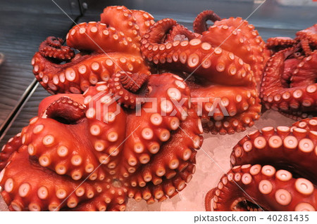 八爪魚·章魚 40281435