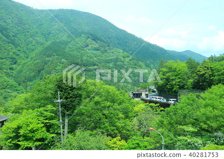 Fresh green Hakone Miyanoshita 40281753